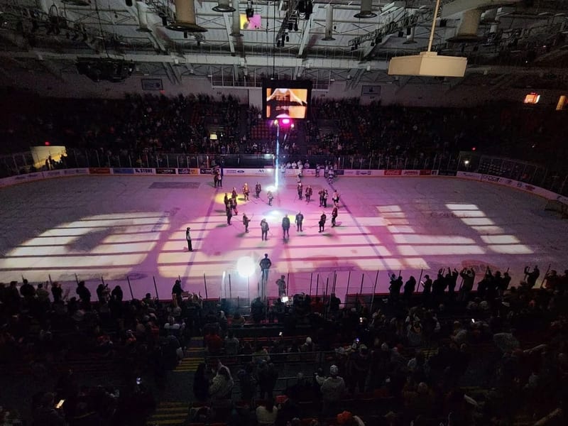 Hockey fans cheering at a community event